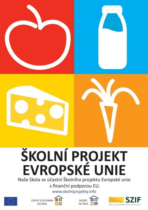 Školní projekt Evropské unie