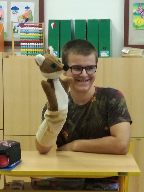 Tandemová výuka ve speciálních třídách