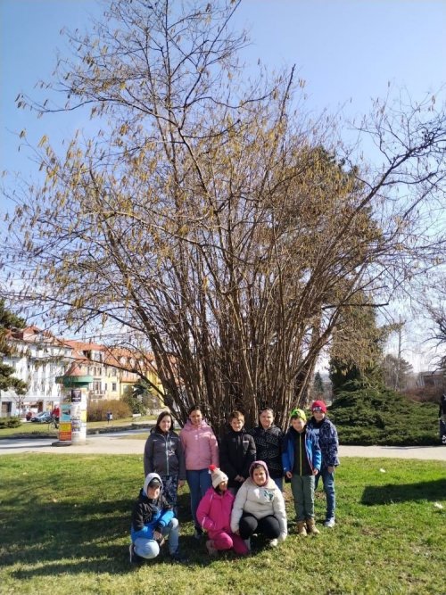 Poznávání jara ve II. třídě