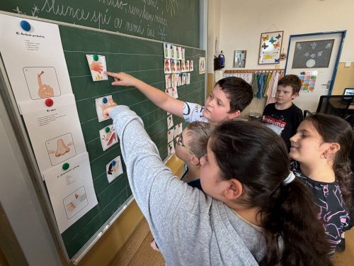 III. třída – Prvouka: první pomoc